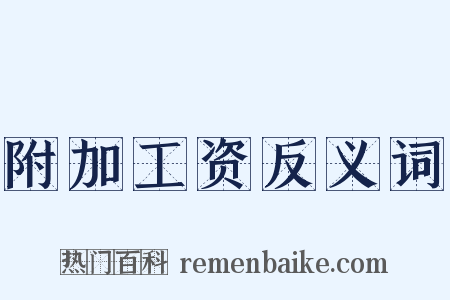附加工资反义词是什么意思的图片